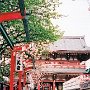 Tokyo, Japan